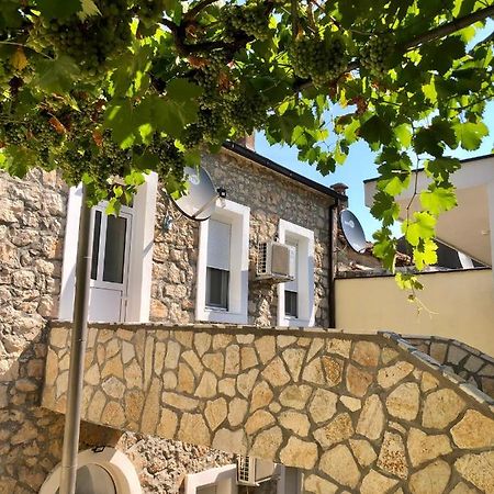 Vila Razic Danilovgrad Exteriér fotografie