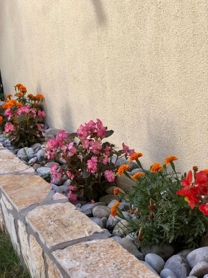 Vila Razic Danilovgrad Exteriér fotografie